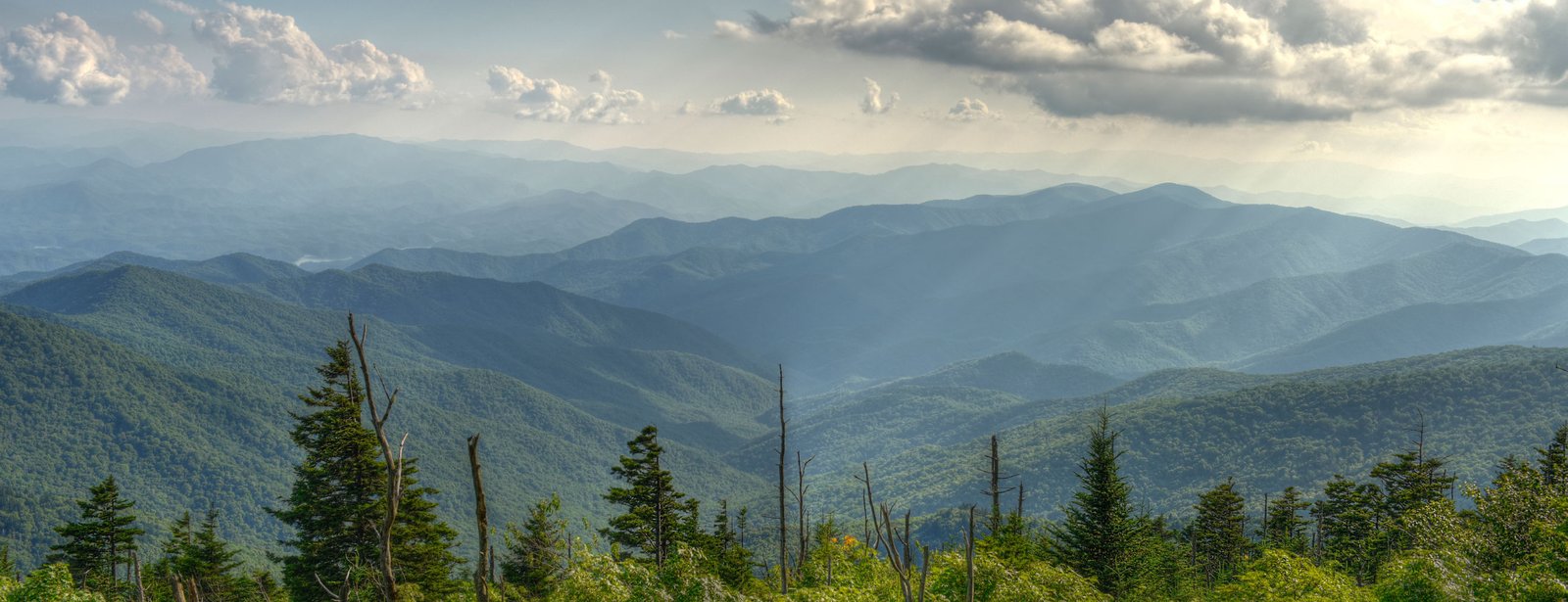 103 saint mario Street